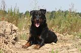 BEAUCERON 022